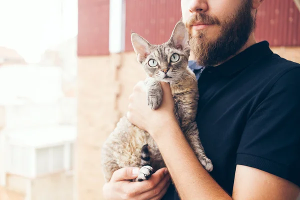 Homem bonito está segurando e abraçando bonito curioso Devon Rex gato — Fotografia de Stock