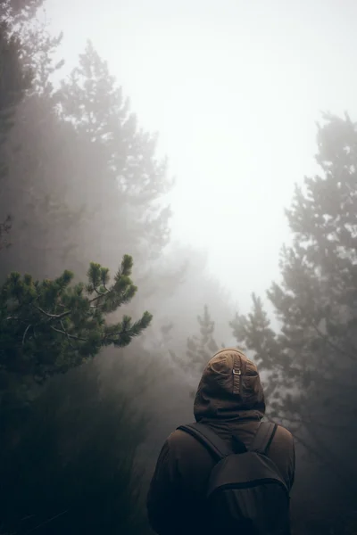 O homem está a caminhar na floresta nebulosa. Viajante com mochila — Fotografia de Stock