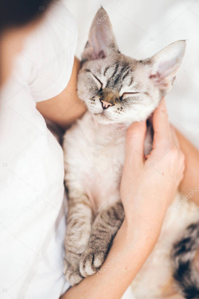 Woman is cuddling Devon Rex cat. Kitty is purring. Spending time with a cat, your production of serotonin, a chemical that boosts feelings of well-being, goes up, and your cortisol levels go down.