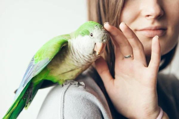 Boldog Mosolygó Gyengéden Megérinti Kedves Háziasított Papagájt Közelkép Barátságos Aranyos — Stock Fotó