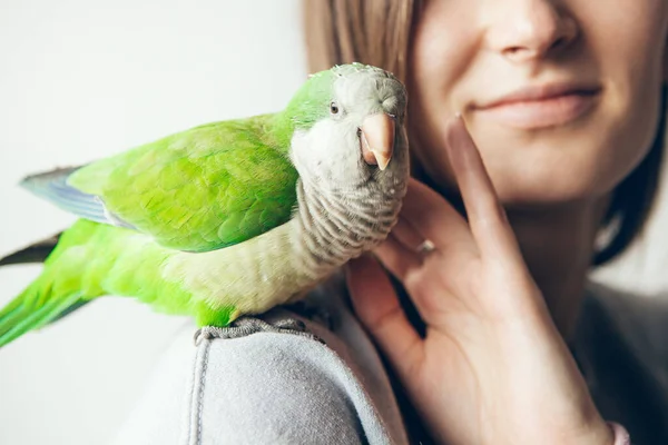 Close Mulher Sorridente Bonito Monk Parakeet Papagaio Quaker Verde Amigável — Fotografia de Stock