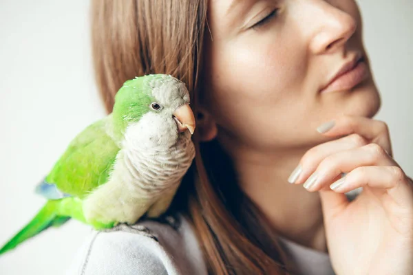 Közelről Zöld Papagáj Ölelkezik Vállán Aranyos Papagáj Természetes Fény Szelektív — Stock Fotó