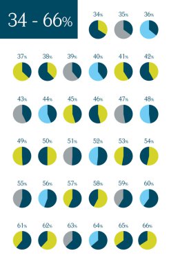 Infographic yüzde daire grafik koleksiyonu.