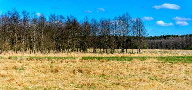 Polonya 'da ilkbaharın başlarında.