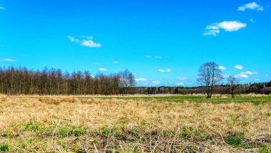 Polonya 'da ilkbaharın başlarında.