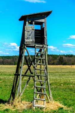 Ağaç standı, avcılar tarafından kullanılan açık platformlar.