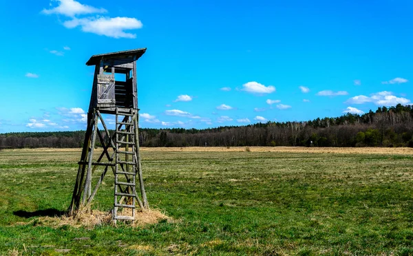 Boom Stand Open Platforms Gebruikt Door Jagers Stockafbeelding