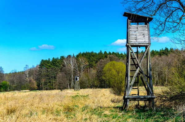 Boom Stand Open Platforms Gebruikt Door Jagers Stockfoto