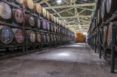 Cachaça. Bodrumda Brezilyalı ROM varil.