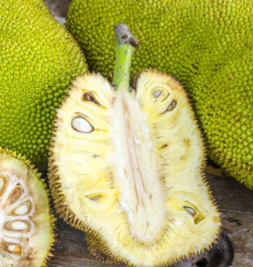 Dev Jack-fruit.Tropical meyve kesiti.