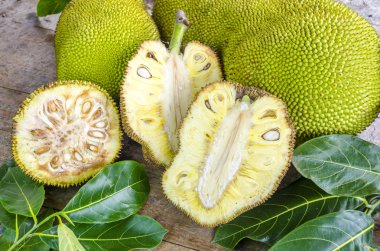 Dev Jack-fruit.Tropical meyve kesiti.