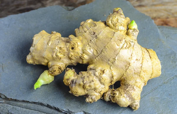 Close-up to a ginger root on blue stone . — Stock Photo, Image