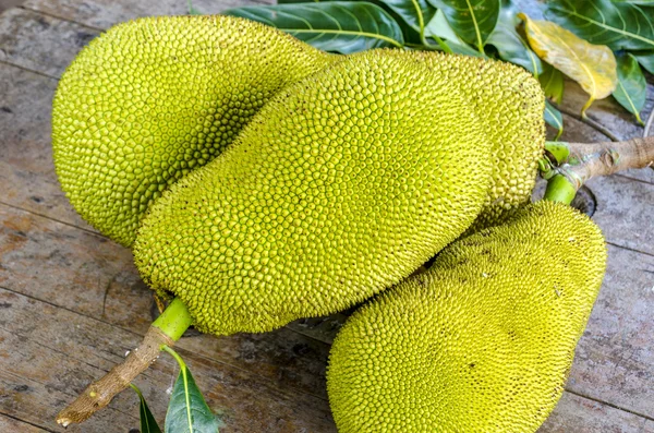 Koca adam Jack-meyve.