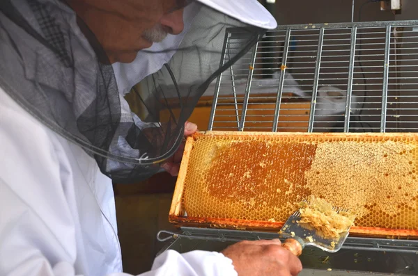 Apiarista destacando favo de mel durante a colheita do mel — Fotografia de Stock