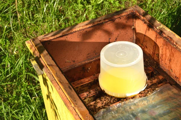 Binnenkant van de Bijenkorf container met zoete stroop voor de voeding van bijen vóór de winter — Stockfoto