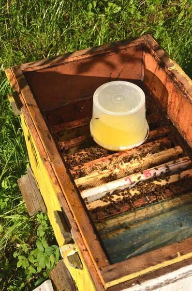 À l'intérieur du récipient de ruche avec sirop sucré pour nourrir les abeilles avant l'hiver — Photo