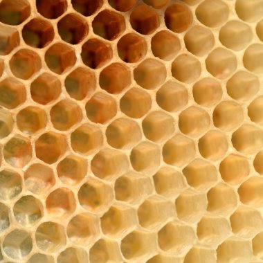 arka plan için doğal petek