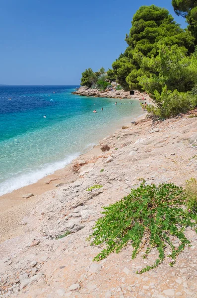 Malownicza Żwirowa Plaża Miejscowości Murvica Południowym Wybrzeżu Wyspy Brač Chorwacji — Zdjęcie stockowe