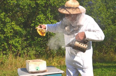 deneyimli üst düzey apiarist holding petek gelen küçük düğün arı kovanı, arı kovanı
