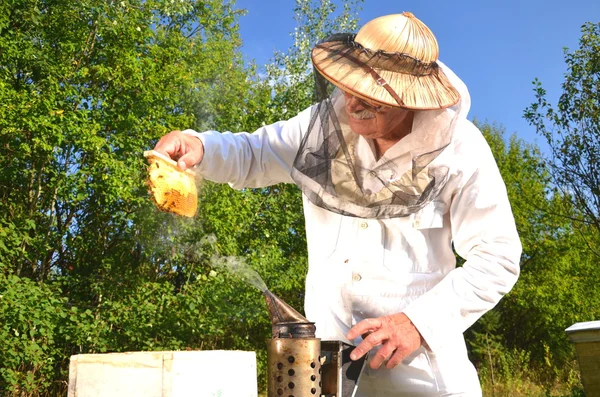 Zkušení starší včelaře hospodářství voštinový z úlu malou svatbu v včelín — Stock fotografie