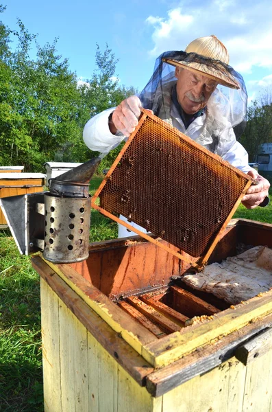 Erfahrener Senior-Imker inspiziert Bienenhaus nach der Sommersaison — Stockfoto