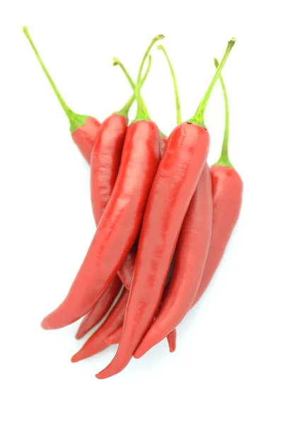 Pimientos rojos picantes aislados sobre fondo blanco —  Fotos de Stock