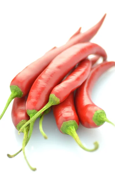 Pimentos de pimenta vermelha quente isolados sobre fundo branco — Fotografia de Stock