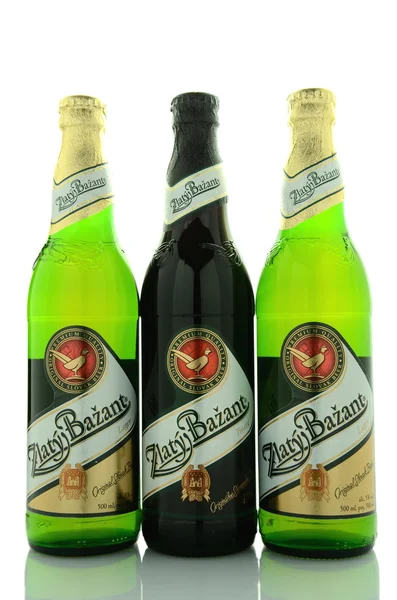 Zlaty Bazant beer isolated on white background — Stock Photo, Image