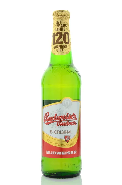 Budweiser cerveja lager isolado no fundo branco . — Fotografia de Stock