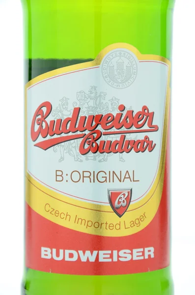 Budweiser cerveja lager isolado no fundo branco . — Fotografia de Stock