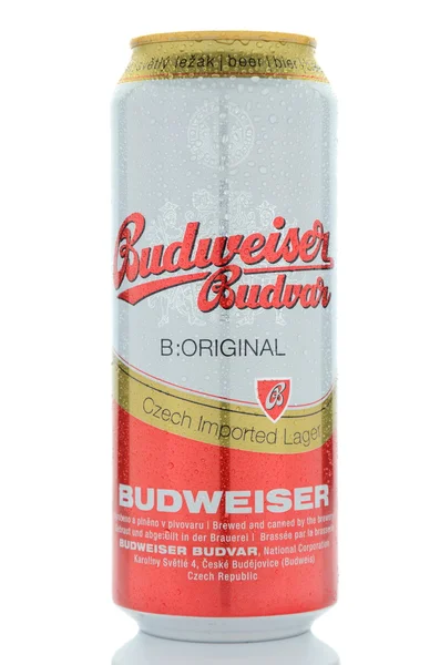 Budweiser cerveza lager aislada sobre fondo blanco . — Foto de Stock