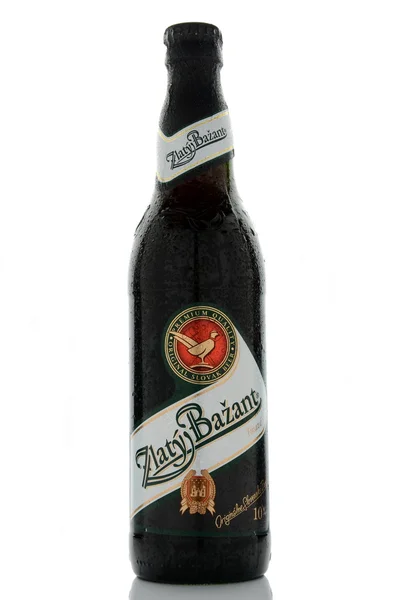 Темное пиво Zlaty Bazant на белом фоне . — стоковое фото