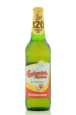 Budweiser güçlü lager bira beyaz arka plan üzerinde izole.