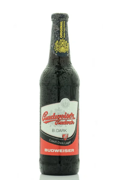Budweiser dark lager beer isolated on white background — Zdjęcie stockowe