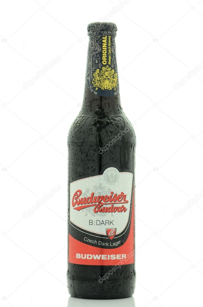 KWIDZYN, POLAND - JUNE 20, 2015: Budweiser dark lager beer isolated on white background. Budweiser is brewed in Ceske Budejovice in Czech Republik. Brewing beer there dates back to the 13th century.