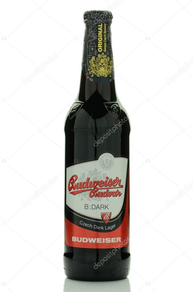 KWIDZYN, POLAND - JUNE 20, 2015: Budweiser dark lager beer isolated on white background. Budweiser is brewed in Ceske Budejovice in Czech Republik. Brewing beer there dates back to the 13th century.