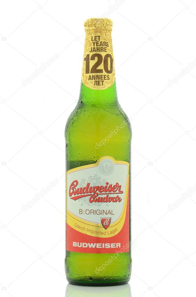 KWIDZYN, POLAND - JUNE 21, 2015: Budweiser strong lager beer isolated on white background. Budweiser is brewed in Ceske Budejovice in Czech Republik. Brewing beer there dates back to the 13 century.