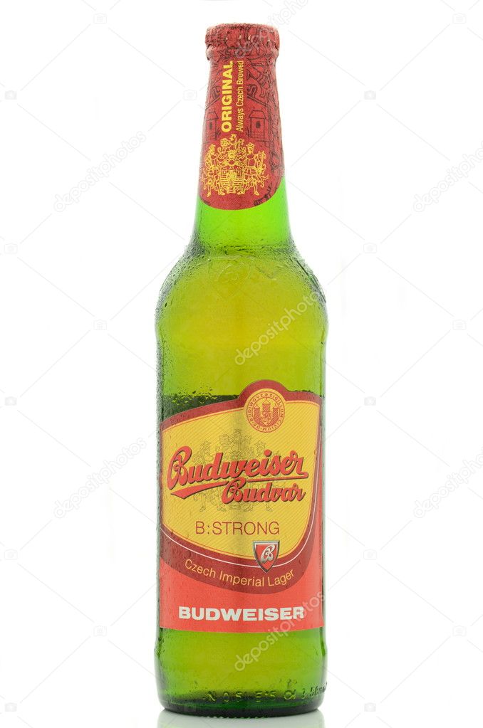 Budweiser strong lager beer isolated on white background