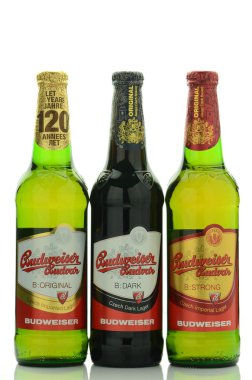 Budweiser bira bira beyaz zemin üzerine izole