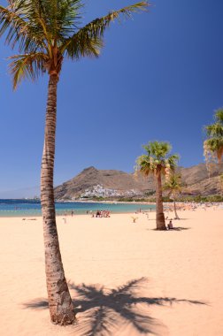 Pitoresk muhteşem Teresitas sahil adada Tenerife, İspanya