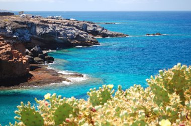Turkuaz koy ve volkanik kayalıklarla Playa Paraiso Tenerife, İspanya