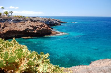 Turkuaz koy ve volkanik kayalıklarla Playa Paraiso Tenerife, İspanya