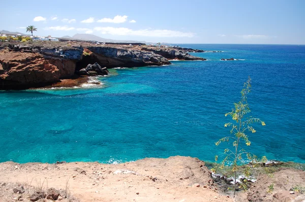 Tyrkysové zálivu a sopečné skály v Playa Paraiso na Tenerife, Španělsko — Stock fotografie