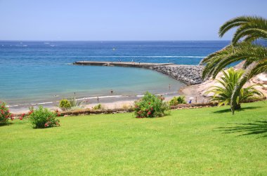Beautiful Playa de Fanabe in Costa Adeje on Tenerife, Spain clipart