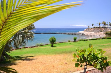 Güzel Playa de Fanabe Costa Adeje Tenerife, İspanya