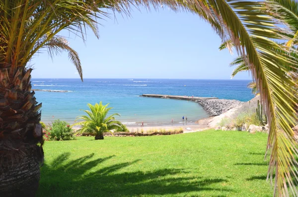 Güzel Playa de Fanabe Costa Adeje Tenerife, İspanya — Stok fotoğraf