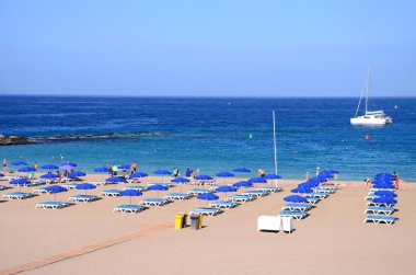 Güzel Playa de las Vistas Los Cristianos Tenerife, İspanya