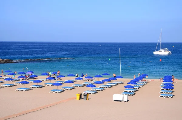 Güzel Playa de las Vistas Los Cristianos Tenerife, İspanya