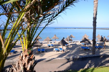 Güzel Playa del Camison Playa de las Americas'da Tenerife, İspanya