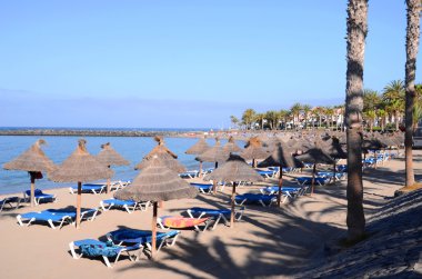 Güzel Playa del Camison Playa de las Americas'da Tenerife, İspanya